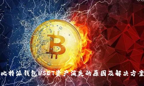 比特派钱包USDT资产消失的原因及解决方案