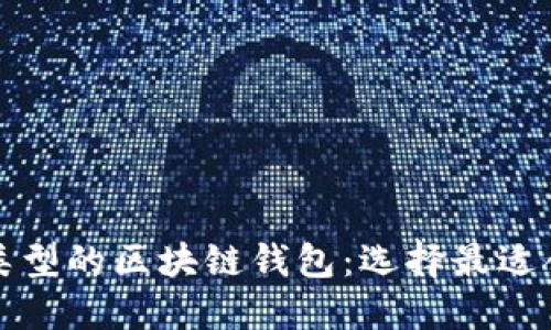 如何区分不同类型的区块链钱包：选择最适合你的钱包类型