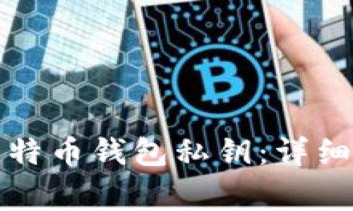 如何安全导出比特币钱包私钥：详细指南与注意事项