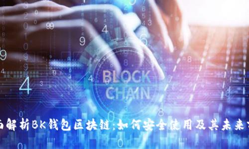 全面解析BK钱包区块链：如何安全使用及其未来前景