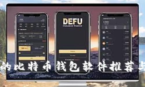 国内可用的比特币钱包软件推荐与使用指南