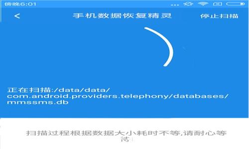 如何选择和使用比特币BCC钱包：全面指南