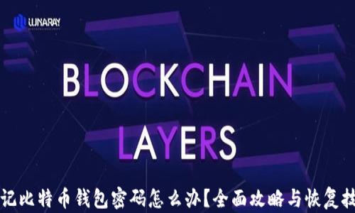 
忘记比特币钱包密码怎么办？全面攻略与恢复技巧
