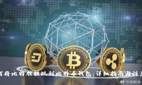 : 如何将比特股提现到比特币钱包：详细指南与注意事项