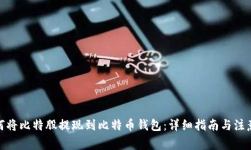 : 如何将比特股提现到比特币钱包：详细指南与注意事项