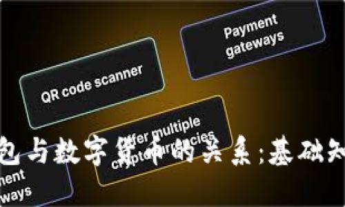 探索区块链钱包与数字货币的关系：基础知识与实用指南