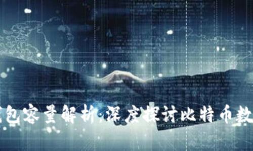 当前比特币钱包容量解析：深度探讨比特币数据的存储需求