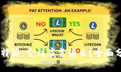 center比特派：它到底靠谱么？全面分析与解答