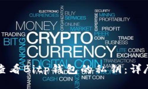 如何查看Bitp钱包的私钥：详尽指南