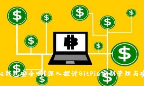 BitPie钱包安全吗？深入探讨BitPie密钥管理与安全性
