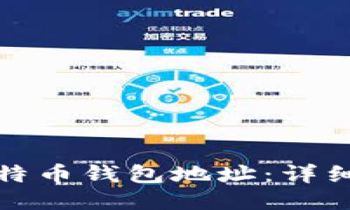 如何修改比特币钱包地址：详细步骤与技巧